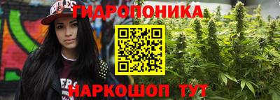 спайс Кандалакша